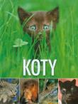 Okładka książki Koty