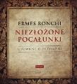 Okładka książki Niezłożone pocałunki. Opowieść o przyjaźni