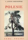 Polesie. Cuda Polski BR. Autor: Ossendowski Antoni Ferdynand. Dadada.pl Okładka książki Polesie. Cuda Polski BR
