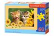 Okładka książki Puzzle 60 Two Kittens with Sunflowers CASTOR
