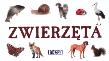 Okładka książki Rozkładanka - Zwierzęta REA