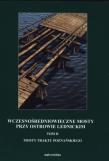 Wczesnośredn. mosty przy Ostrowie Lednickim T.2. Autor: Gerard Wilke. Dadada.pl Okładka książki Wczesnośredn. mosty przy Ostrowie Lednickim T.2