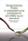 Okładka książki Gospodarka Polski w perspektywie wstąpienia do strefy euro