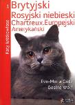 Koty krótkowłose. Autor: Gotz Eva-Maria, Wolf Gesine. Dadada.pl Okładka książki Koty krótkowłose
