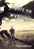 Okładka książki Łgarz na wybiegu