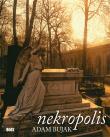 Nekropolis. Autor: Bujak Adam, Kolbuszewski Jacek (red.). Dadada.pl Okładka książki Nekropolis