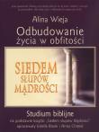 Odbudowanie życia w obfitości. Studium biblijne. Autor: Alina Wieja, BlanK Estella, Musialik-Chmiel Anna. Dadada.pl Okładka książki Odbudowanie życia w obfitości. Studium biblijne