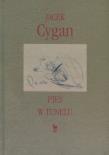 Okładka książki Pies w tunelu - Jacek Cygan