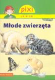 Pixi Ja wiem! - Młode zwierzęta. Autor: Sorensen Hanna. Dadada.pl Okładka książki Pixi Ja wiem! - Młode zwierzęta