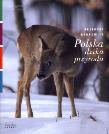 Okładka książki Polska dzika przyroda Sarna