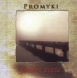 Promyki Jesieni Życia. Autor: Praca zbiorowa. Dadada.pl Okładka książki Promyki Jesieni Życia