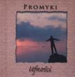 Promyki Ufności. Autor: Praca zbiorowa. Dadada.pl Okładka książki Promyki Ufności