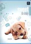 Opakowanie Zeszyt A5 w trzy linie 16 kartek UV Interdruk. Sweet puppies