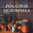 Okładka książki Poradnik ogrodnika TW