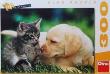 Opakowanie Puzzle 300 Kot i pies na trawie DINO