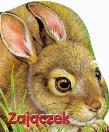 Zajączek karton FK. Autor: Eisele Monika, Ray Cresswell (ilustr.). Dadada.pl Okładka książki Zajączek karton FK