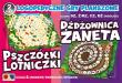 2 gry Dżdżownica Żaneta/Pszczółki Lotniczki. Wydawca: KOMLOGO. Dadada.pl Opakowanie 2 gry Dżdżownica Żaneta/Pszczółki Lotniczki