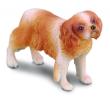 Okładka książki COLLECTA PIES RASY SPANIEL CAVALIER KING CHA ROZMIAR M BPZ