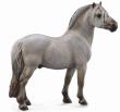 Okładka książki Koń Fiord Stallion Grey