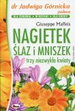 Nagietek ślaz i mniszek. Autor: Giuseppe Maffeis. Dadada.pl Okładka książki Nagietek ślaz i mniszek