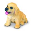 Okładka książki Pies golden retriever szczeniak