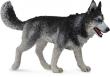 Opakowanie Pies Rasy Siberian Husky