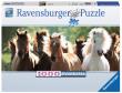 Opakowanie Puzzle 1000 Panoramiczne Dzikie konie