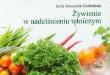 Żywienie w nadciśnieniu tętniczym. Autor: Zofia Wieczorek-Chełmińska. Dadada.pl Okładka książki Żywienie w nadciśnieniu tętniczym