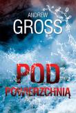 Pod powierzchnią. Autor: Gross Andrew. Dadada.pl Okładka książki Pod powierzchnią