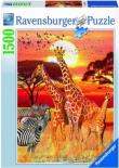 Opakowanie Puzzle 1500 Afrykański zachód słońca