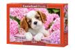 Opakowanie Puzzle 500 Pup in Pink Flowers CASTOR