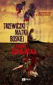 Trzewiczki Matki Boskiej. Autor: Sokolińska Joanna. Dadada.pl Okładka książki Trzewiczki Matki Boskiej