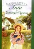 Ania z Zielonego Wzgórza. Autor: Montgomery Lucy Maud. Dadada.pl Okładka książki Ania z Zielonego Wzgórza