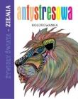 Okładka książki Antystresowa kolorowanka. Żywioły Świata Ziemia