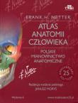 Atlas anatomii człowieka Polskie mianownictwo anatomiczne. Autor: Netter Frank H.. Dadada.pl Okładka książki Atlas anatomii człowieka Polskie mianownictwo anatomiczne