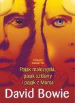 David Bowie. Pająk malezyjski, pająk szklany i.... Autor: Rabsztyn Tomasz. Dadada.pl Okładka książki David Bowie. Pająk malezyjski, pająk szklany i...