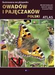 Ilustrowana encyklopedia owadów i pajęczaków. Autor: Michał Grabowski, Radomir Jaskuła, Krzysztof Pabis. Dadada.pl Okładka książki Ilustrowana encyklopedia owadów i pajęczaków