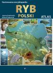 Ilustrowana encyklopedia ryb. Autor: Joanna Łodziana-Grabowska (, Michał Grabowski. Dadada.pl Okładka książki Ilustrowana encyklopedia ryb