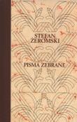 Pisma raperswilskie i wspomnienia. Autor: Żeromski Stefan. Dadada.pl Okładka książki Pisma raperswilskie i wspomnienia