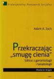 Przekraczając smugę cienia. Autor: Zych Adam A.. Dadada.pl Okładka książki Przekraczając smugę cienia