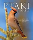 Ptaki Polski w.2015 SBM. Autor: Marchowski Dominik. Dadada.pl Okładka książki Ptaki Polski w.2015 SBM