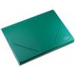 Opakowanie Teczka A4 z 12 przegrodami zielona
