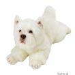 Okładka książki West Highland Terrier 35 cm leżący