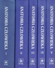 Anatomia człowieka Tom 1-5. Autor: Bochenek Adam, Reicher Michał. Dadada.pl Okładka książki Anatomia człowieka Tom 1-5