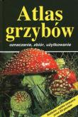 Atlas grzybów. Autor: Fluck Markus. Dadada.pl Okładka książki Atlas grzybów