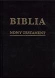 Okładka książki Biblia w zarysie. Nowy Testament płótno