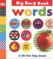 Opakowanie Big Busy Book Words