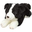 Opakowanie Leżący Owczarek Border Collie 30cm SUKI