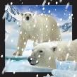 Opakowanie Magnes 3D Niedźwiedzie polarne w śniegu