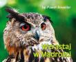 Perełka 262 Wzrastaj w Mądrości. Autor: PAWEŁ ANWEILER. Dadada.pl Okładka książki Perełka 262 Wzrastaj w Mądrości